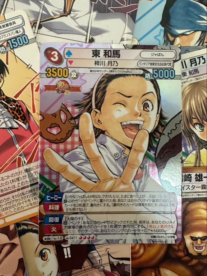 マニュアル・メディスンの原理 大場D.C