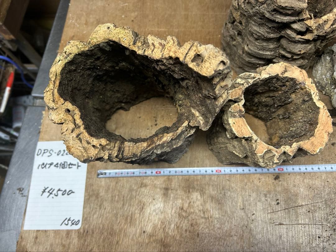 ポルトガル産コルク樹皮4点0220-4 M - メルカリ