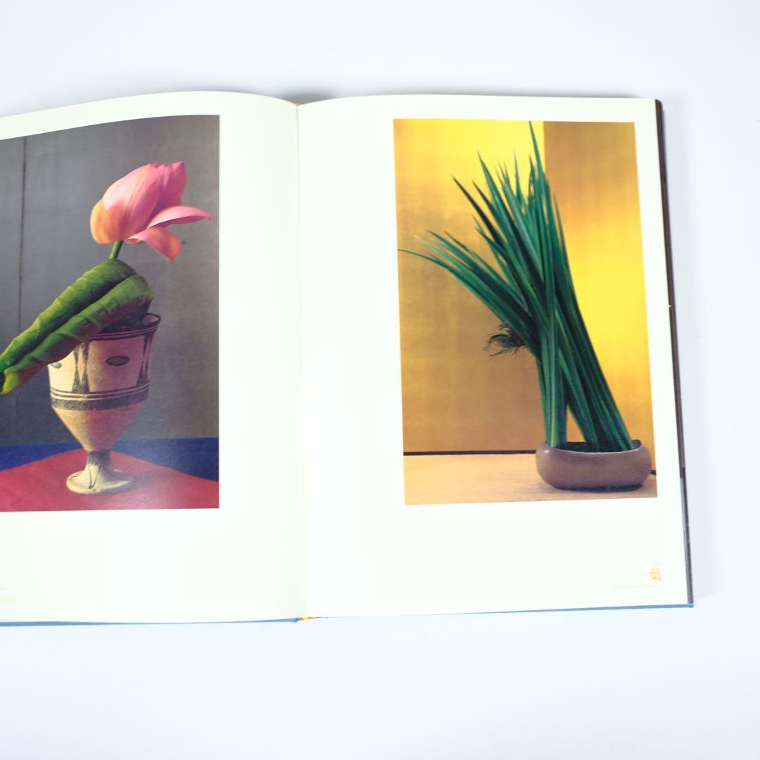 魔の山】中川幸夫 作品集 求龍堂 写真集 花道 極希少本 稀覯本 - メルカリ