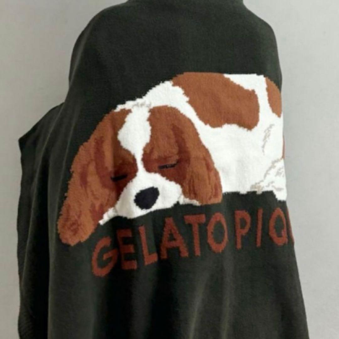 ジェラートピケ SLEEPING DOG ジャガードブランケット キャバリア柄②