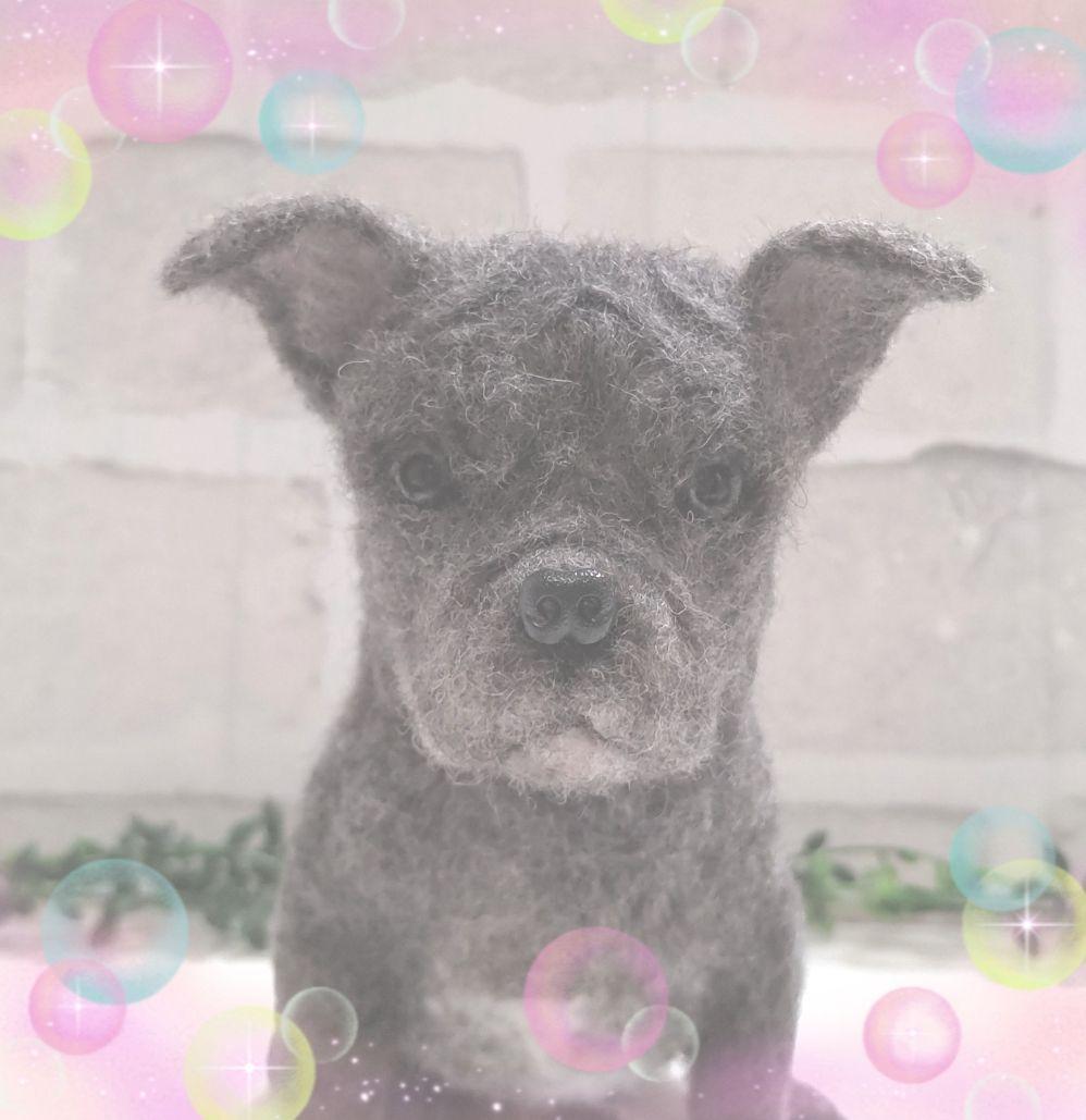 は♡うちの子オーダー♡羊毛フェルト♪ハンドメイド☆ 羊毛フェルト【オーダーメイド】うちの子オーダー✴︎犬✴︎愛犬