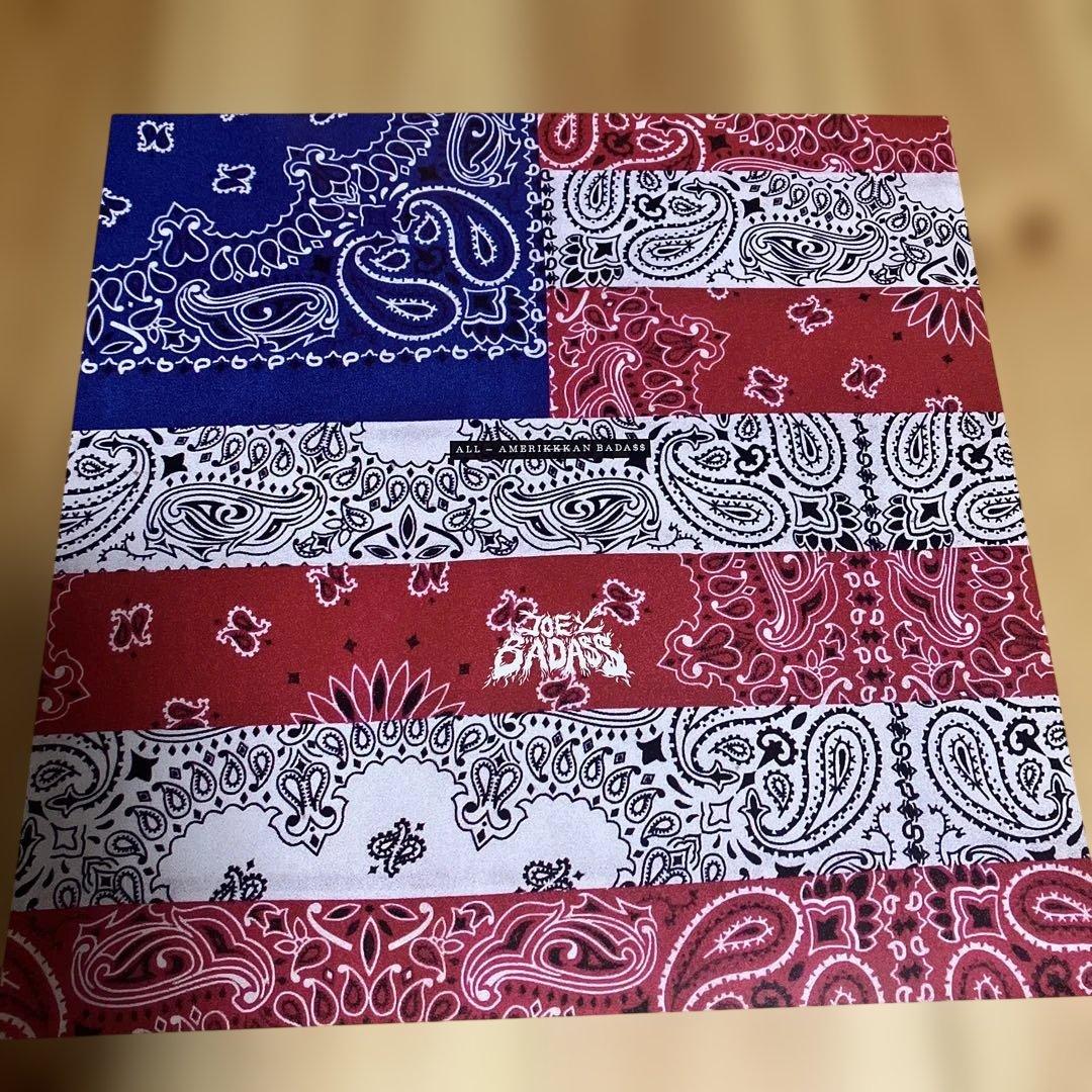 Joey Bada$$ ALL AMERIKKKAN BADASS レコード