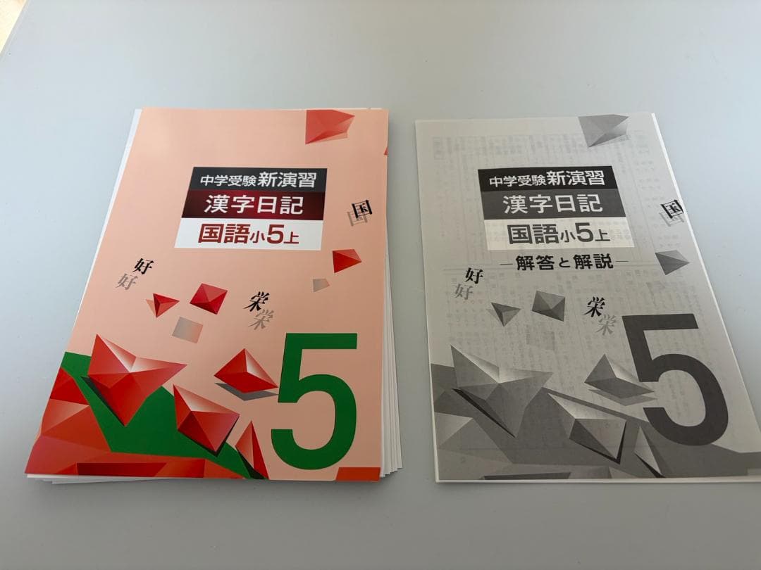 裁断済み】中学受験新演習 漢字日記 小5 上下 2022年発行 - メルカリ