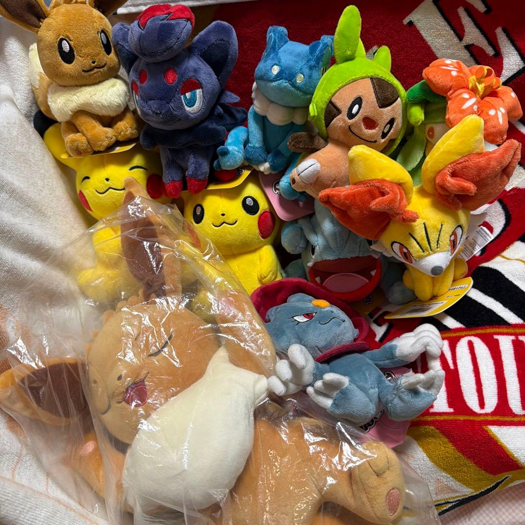 ポケモンぬいぐるみ キミにきめた！ポケモンゲットぬいぐるみ』1月28日（土）新商品発売