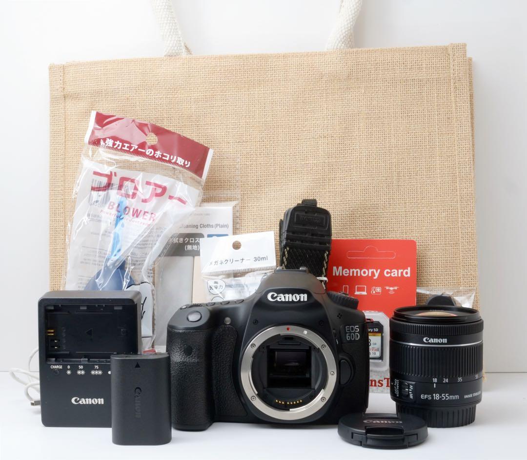 STMレンズ！Canon EOS 60D☆美品☆転送OK☆本格一眼レフ - メルカリ