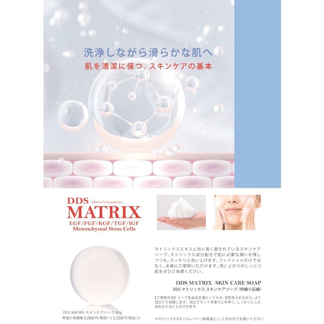 アースジャパン DDS マトリックス スキンケアソープ 幹細胞 無添加 石鹸