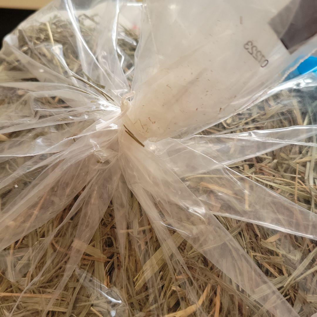 アメリカンペットダイナー チモシーゴールド 4個 - メルカリ