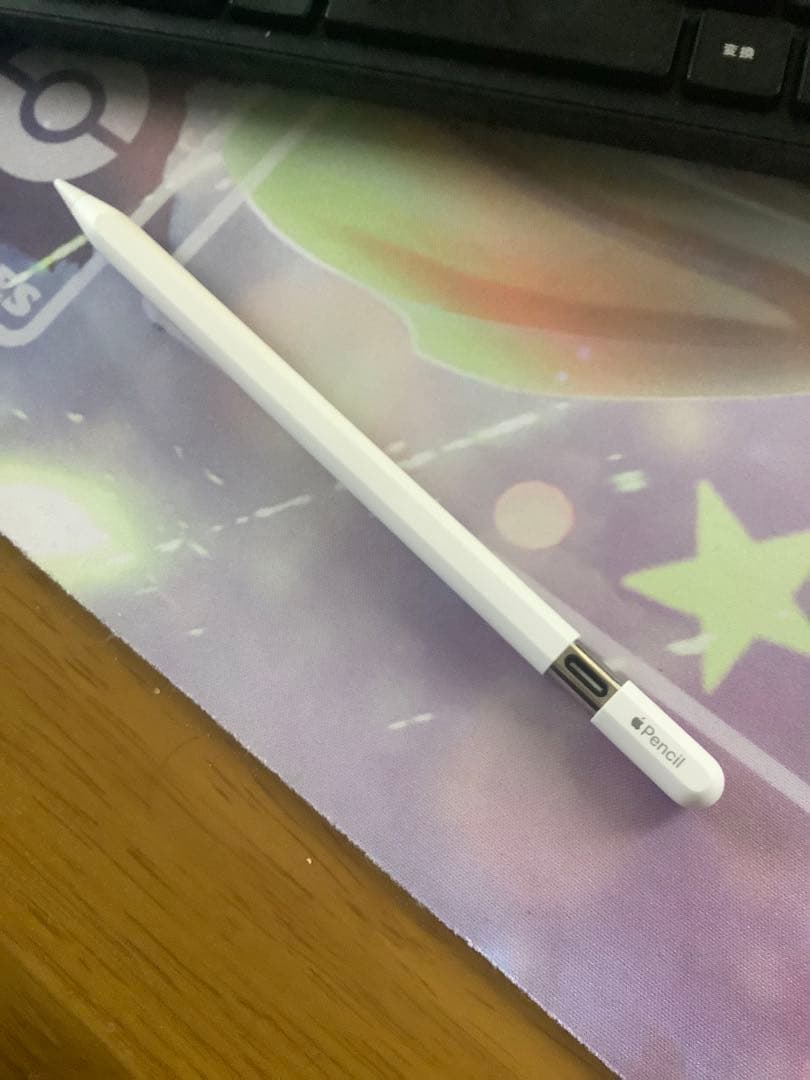 Apple Pencil USB-C 正規品　純正 Apple Apple純正品 アップル Apple Pencil (USB-C) MUWA3ZA/A【新品