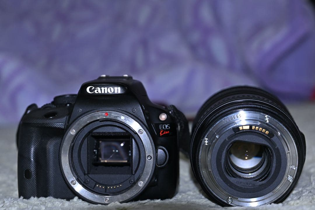 Canon EOS Kiss ボディとレンズEF 24-105mm f/4 Canon RF 24-105mm f/4L IS USM Lens | Rockbrook Camera