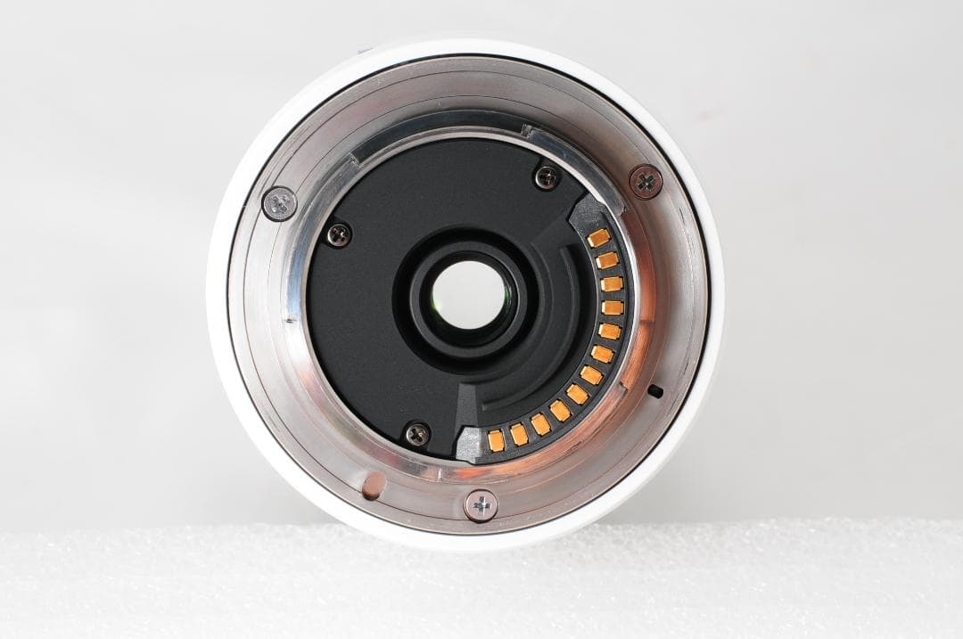 【超望遠レンズ】1 NIKKOR VR 30-110mm F3.8-5.6 白