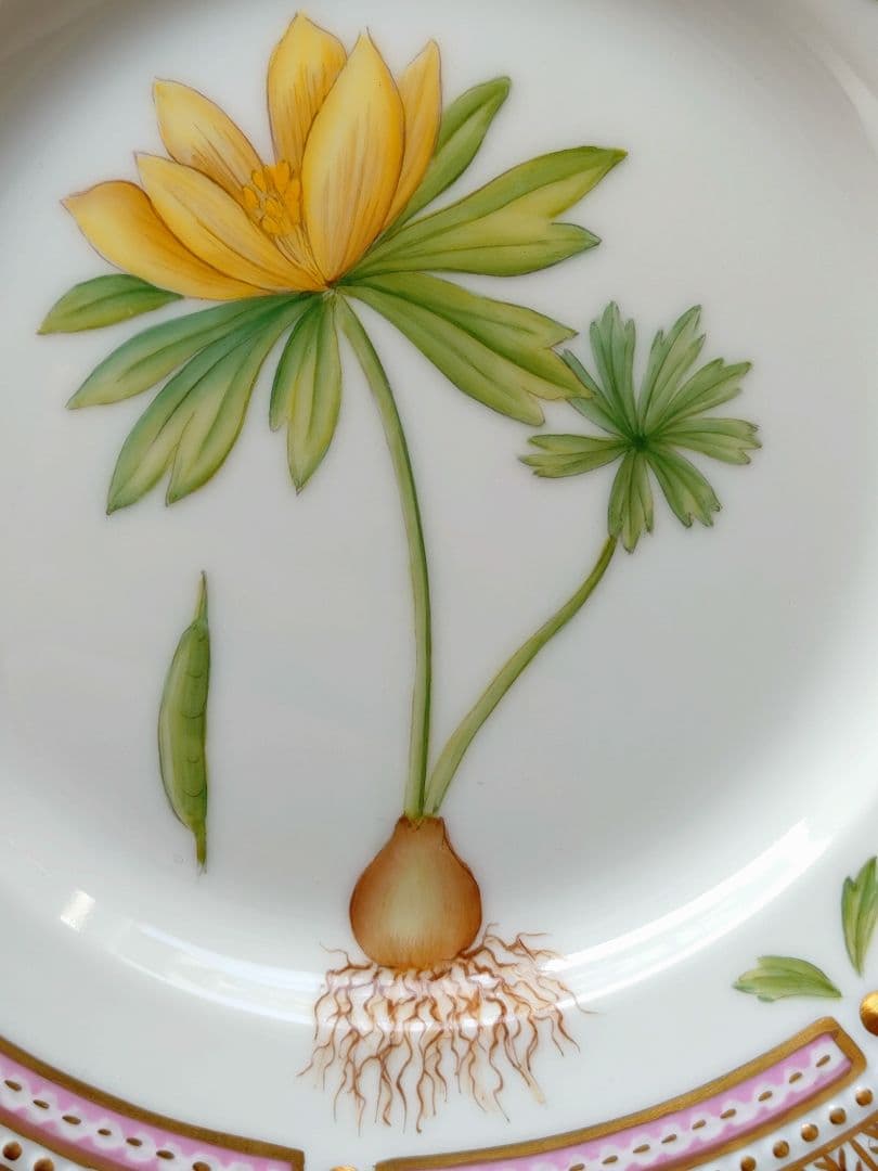 ★希少・超美品 ロイヤルコペンハーゲン フローラダニカ 14.5cm★