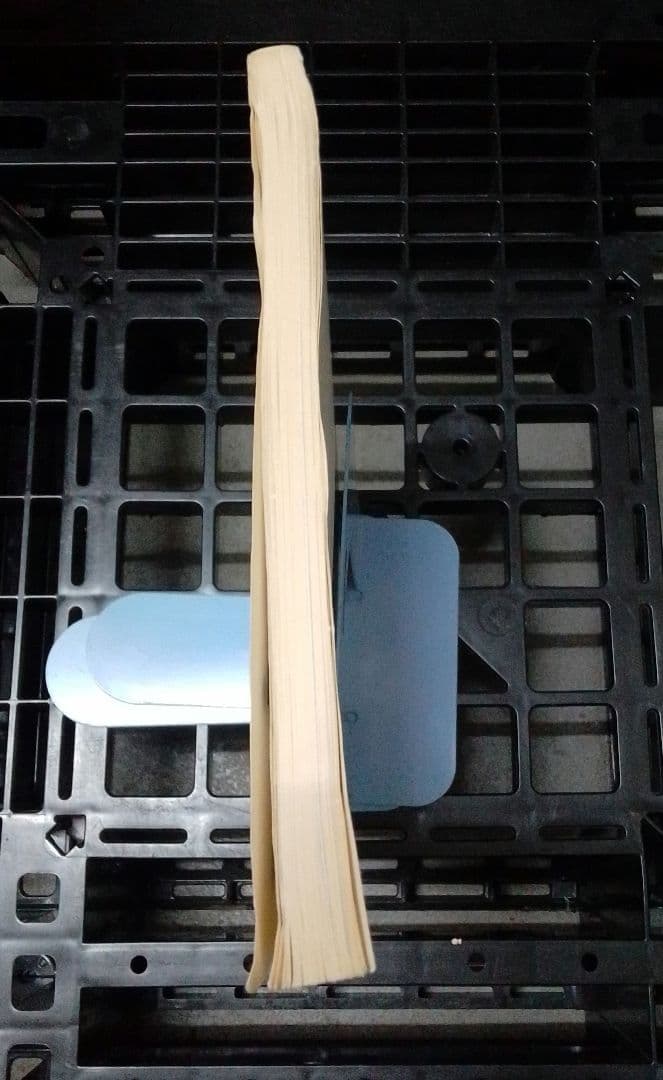 カヒミ・カリィ「プロモーション・ブック」「LE ROI SOLEIL」（太陽王