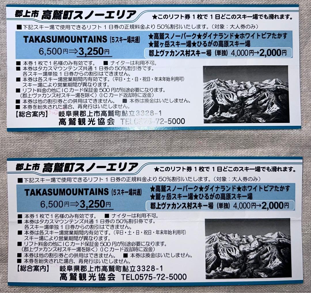 高鷲スノーパーク ダイナランド 鷲ヶ岳 半額券 2枚セット タカス