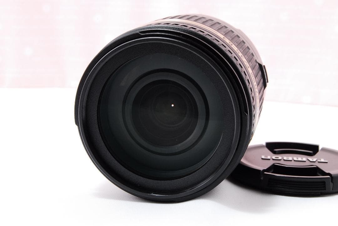 〓ソニー用〓タムロン 18-270mm F3.5-6.3 Di II PZD