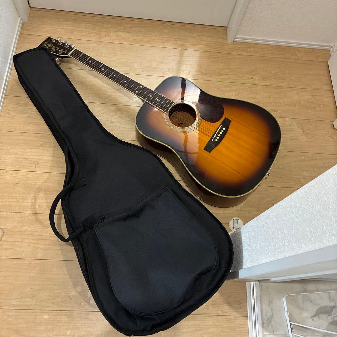 調整済み！ pro Martinアコースティックギター激鳴りです 良く鳴ります