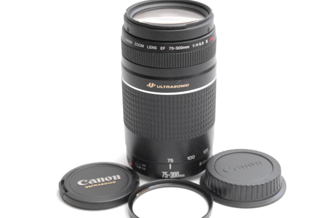 CANON ZOOM LENS EF 75-300mm 1:4-5.6 ⅢUSM Canon EF zoom lens 75-300mm 1:4-5.6 III (Pre-Owned) - Camera