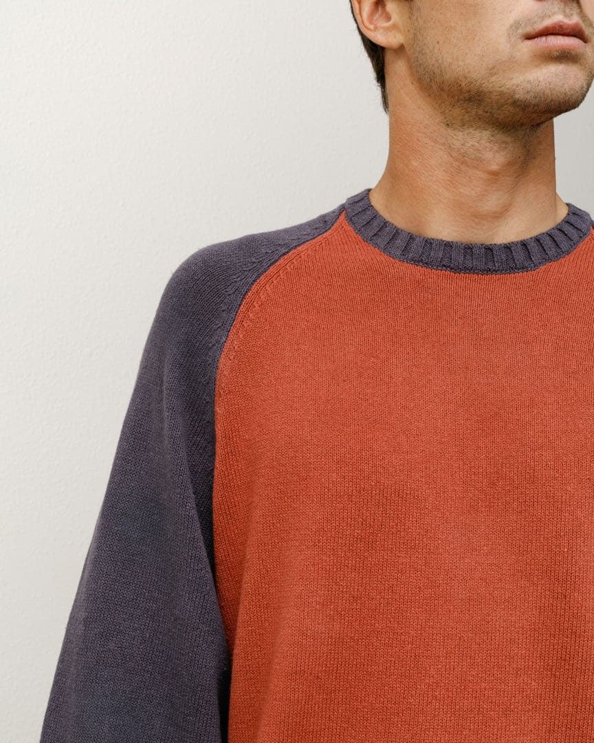 Stussy Colorblocked Raglan Knit Crew - メルカリ