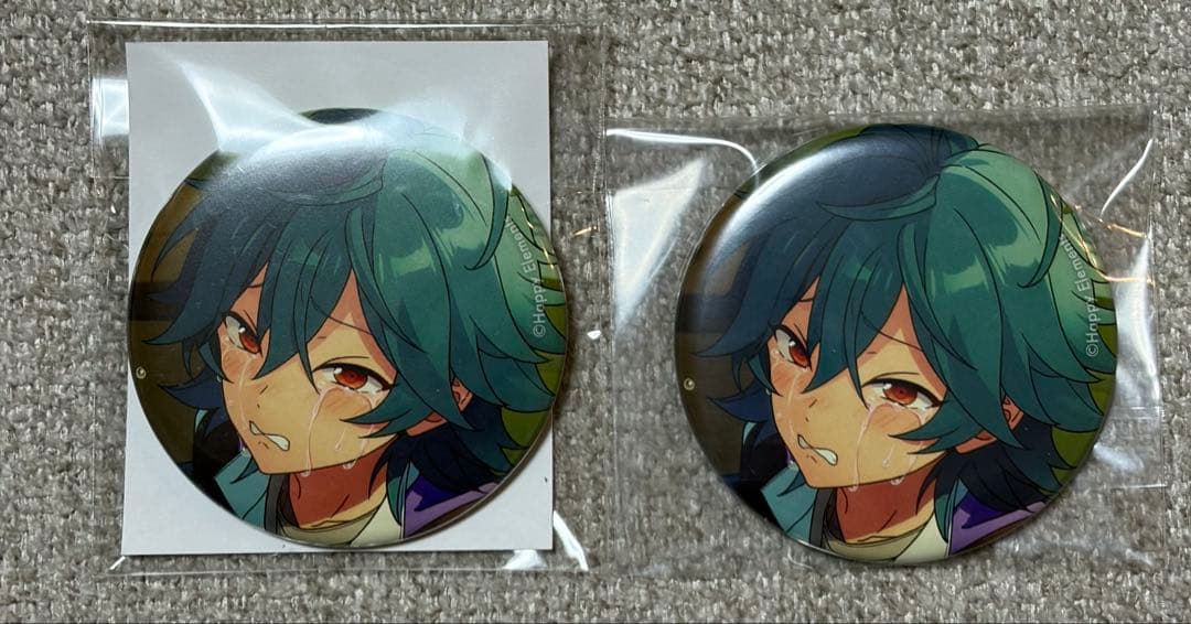 コレクション缶バッジ ライカ2025 Oct. idol casual - メルカリ