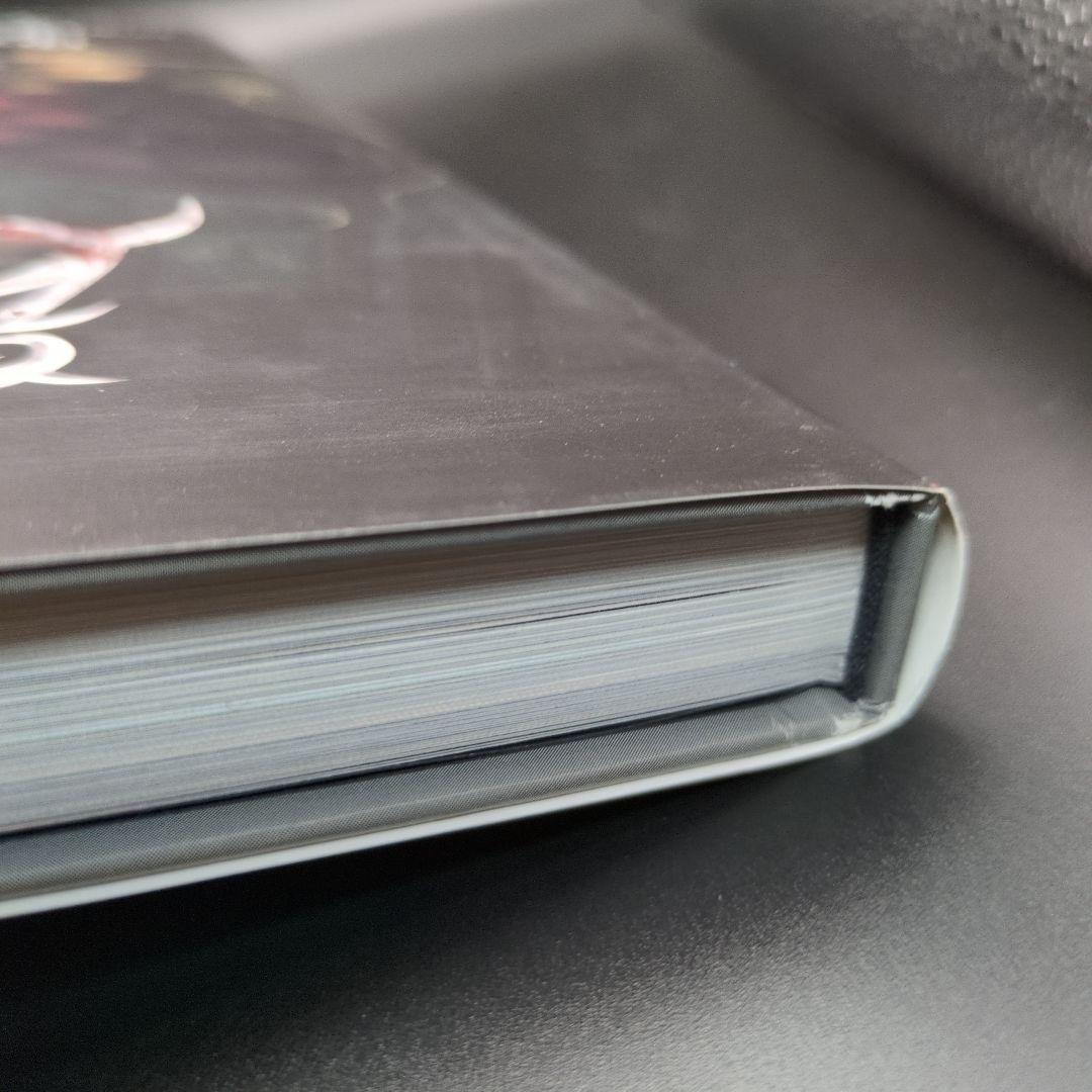 初版 帯付き アートオブアリスマッドネスリターンズ 設定画集 日本語版