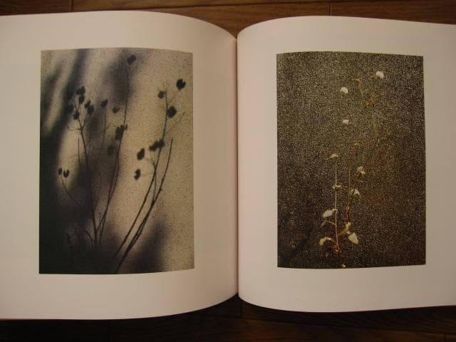 朝開暮落 加藤恭平 遺作集 林忠彦 ノスタルジア