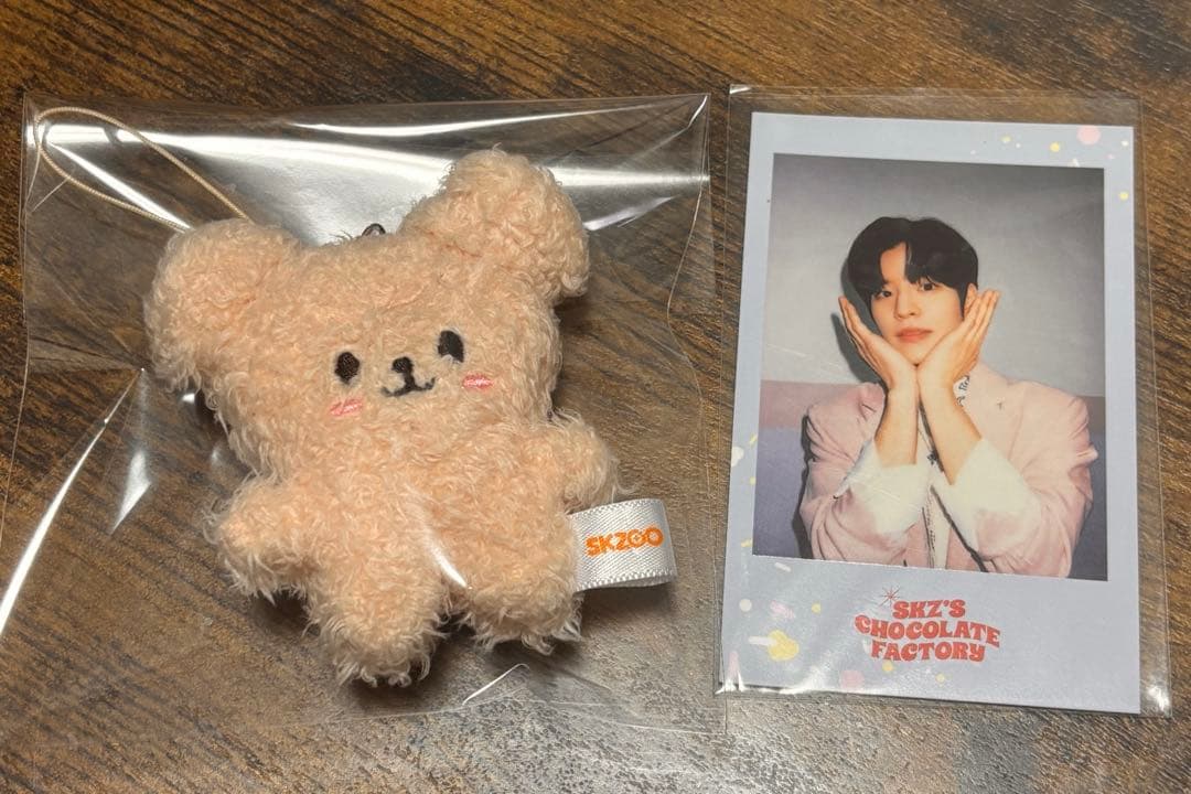 Stray Kids スンミン パピーム 10cm マイクロ スキズ ポラロイド