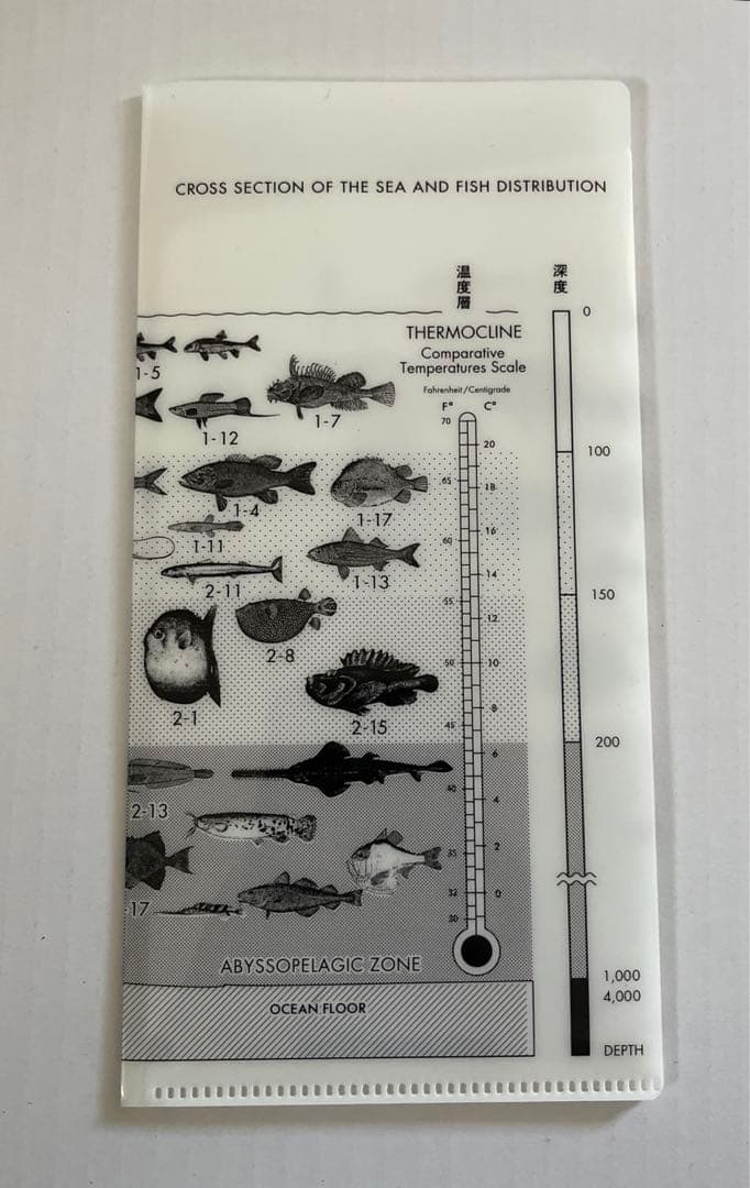 サカナクション 魚図鑑 完全生産限定盤プレミアムBOX(3CD＋魚大図鑑