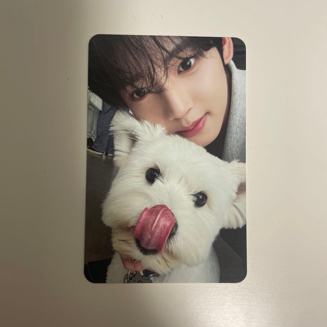 ZB1 ゼベワン never say never 犬 トレカ ユジン - メルカリ