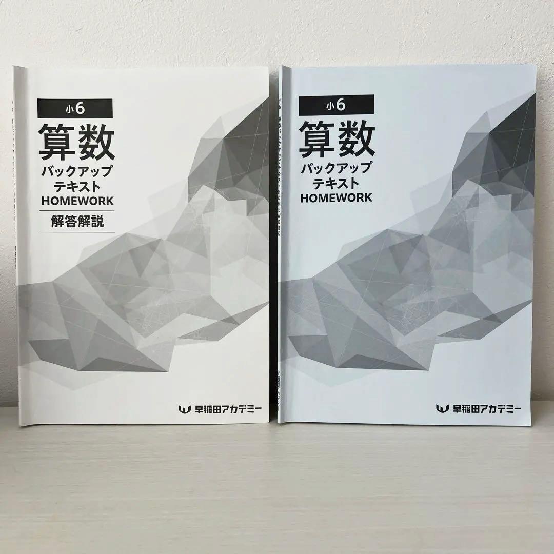 美品☆算数バックアップテキスト HOMEWORK 早稲田アカデミー 小6