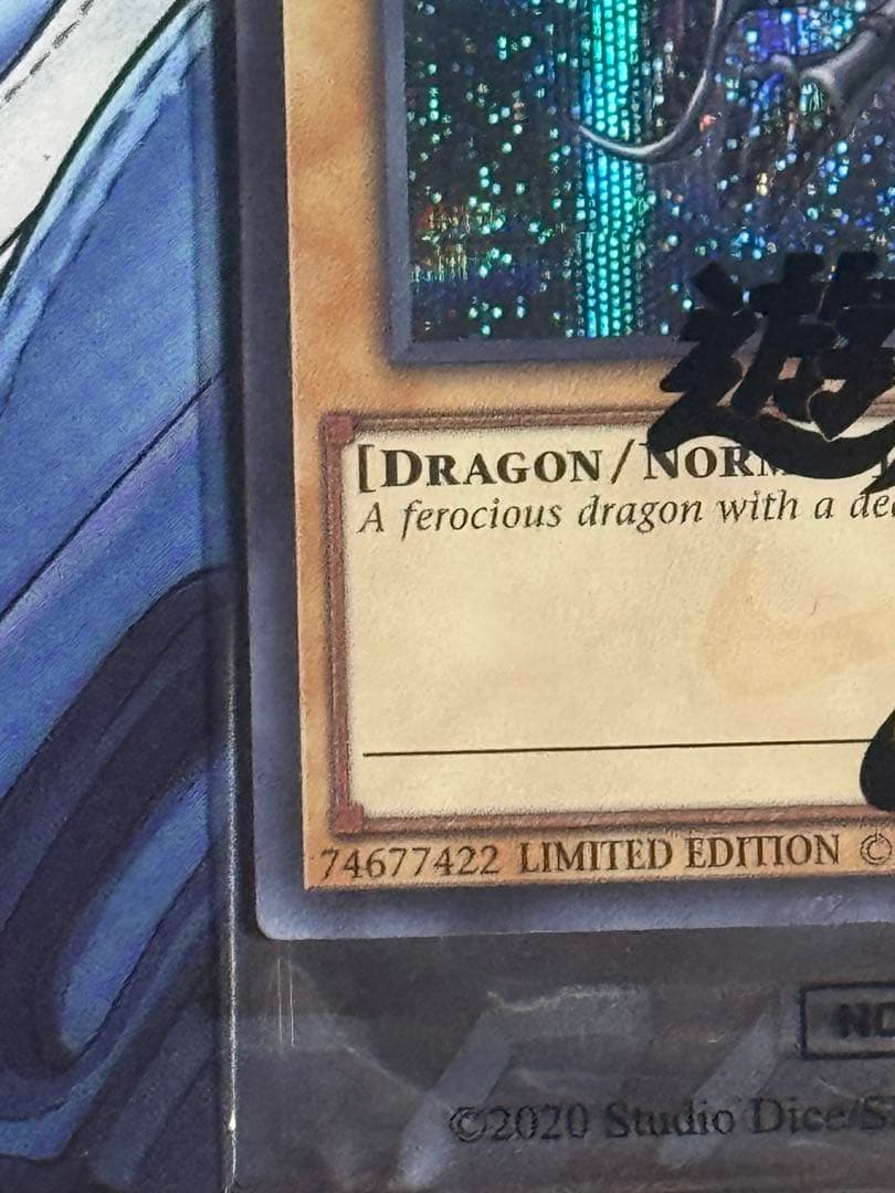 遊戯王 NIKE コラボ レッドアイズブラックドラゴン 真紅眼の黒竜