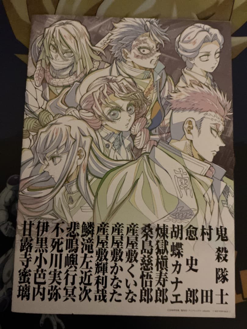 映画 鬼滅の刃 無限城編 入場特典 第12弾 パンフレット副読本 鬼殺隊編