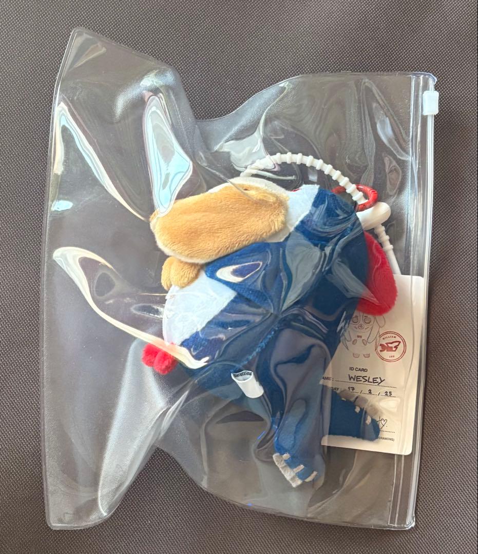 WilliamEst WESLEY DOLL KEYCHAIN - メルカリ