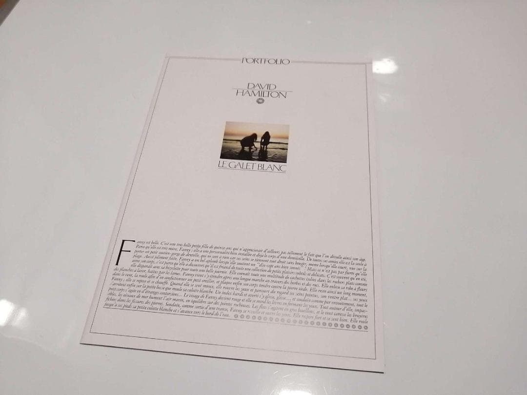 DAVID HAMILTON デイヴィッドハミルトン ポートフォリオ 写真集 - メルカリ