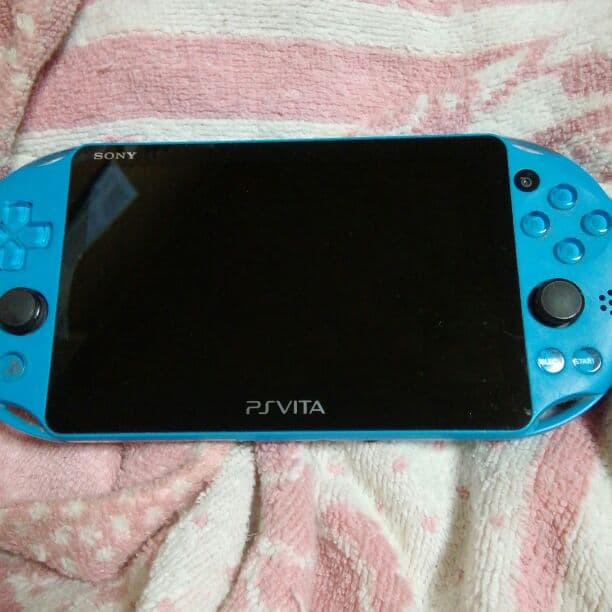 マイクおまめ様専用psvitaとマイクラ