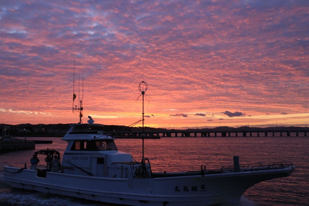 レンズ(ズーム) Canon EF-S 18-200mm f/3.5-5.6