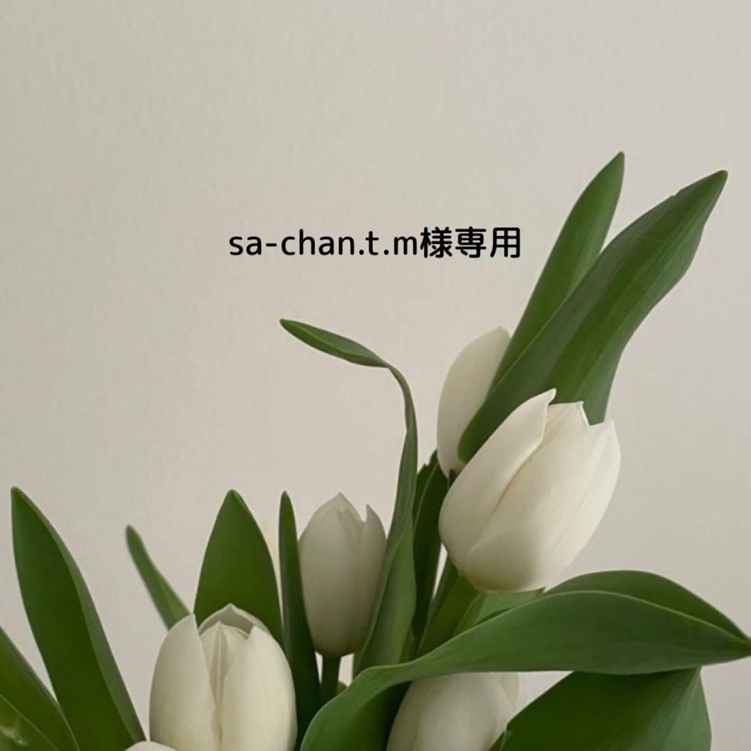 sa-chan.t.m 季令 スピケア V3 4点セット sa-chan.t.m 季令 スピケア V3 4点セット sa-chan.t.m 季令 スピケア