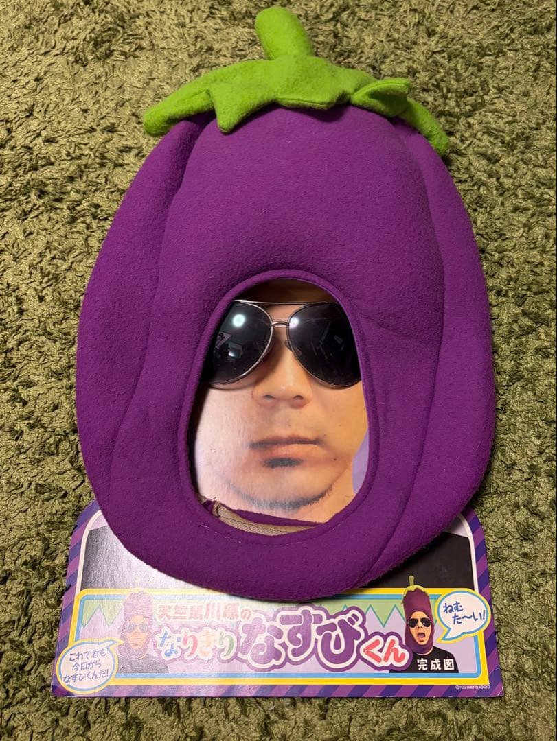 天竺鼠川原のなりきりなすびくん(サングラス付き) - メルカリ