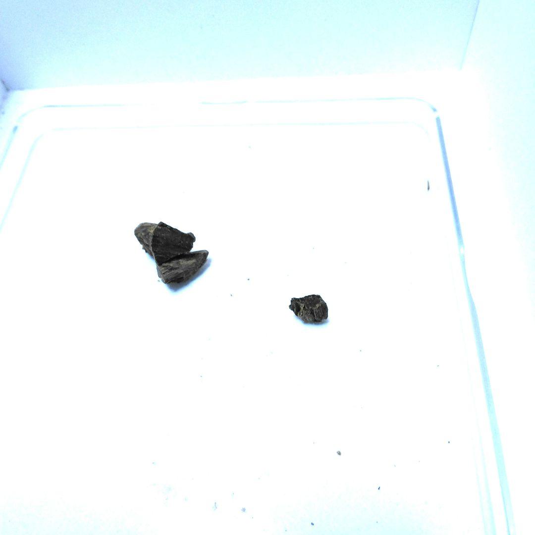 シャム沈香最高級品 0.75g