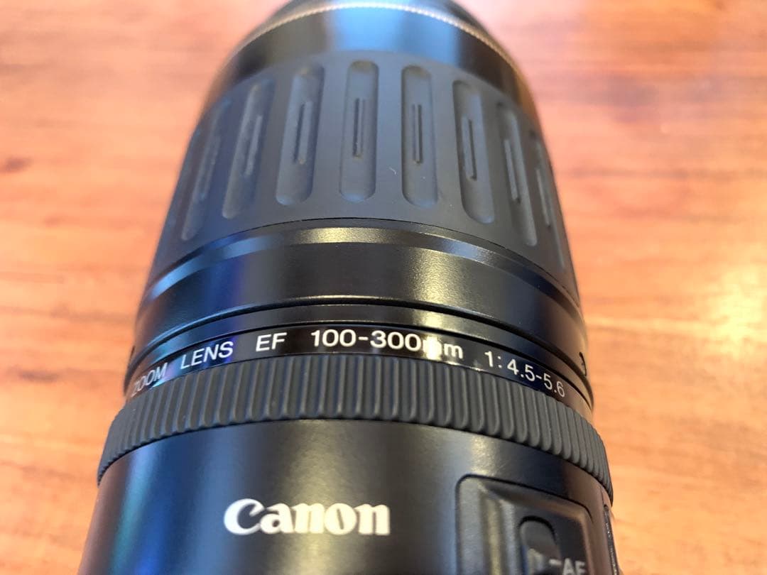 CANON EF 100-300mm F4.5-5.6 USM キヤノン