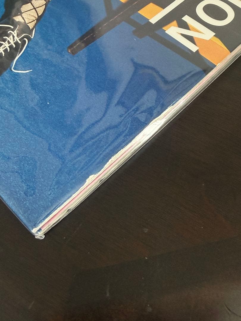 ドレスコーズ オーディション 特典付 レコード LP 毛皮のマリーズ 志磨