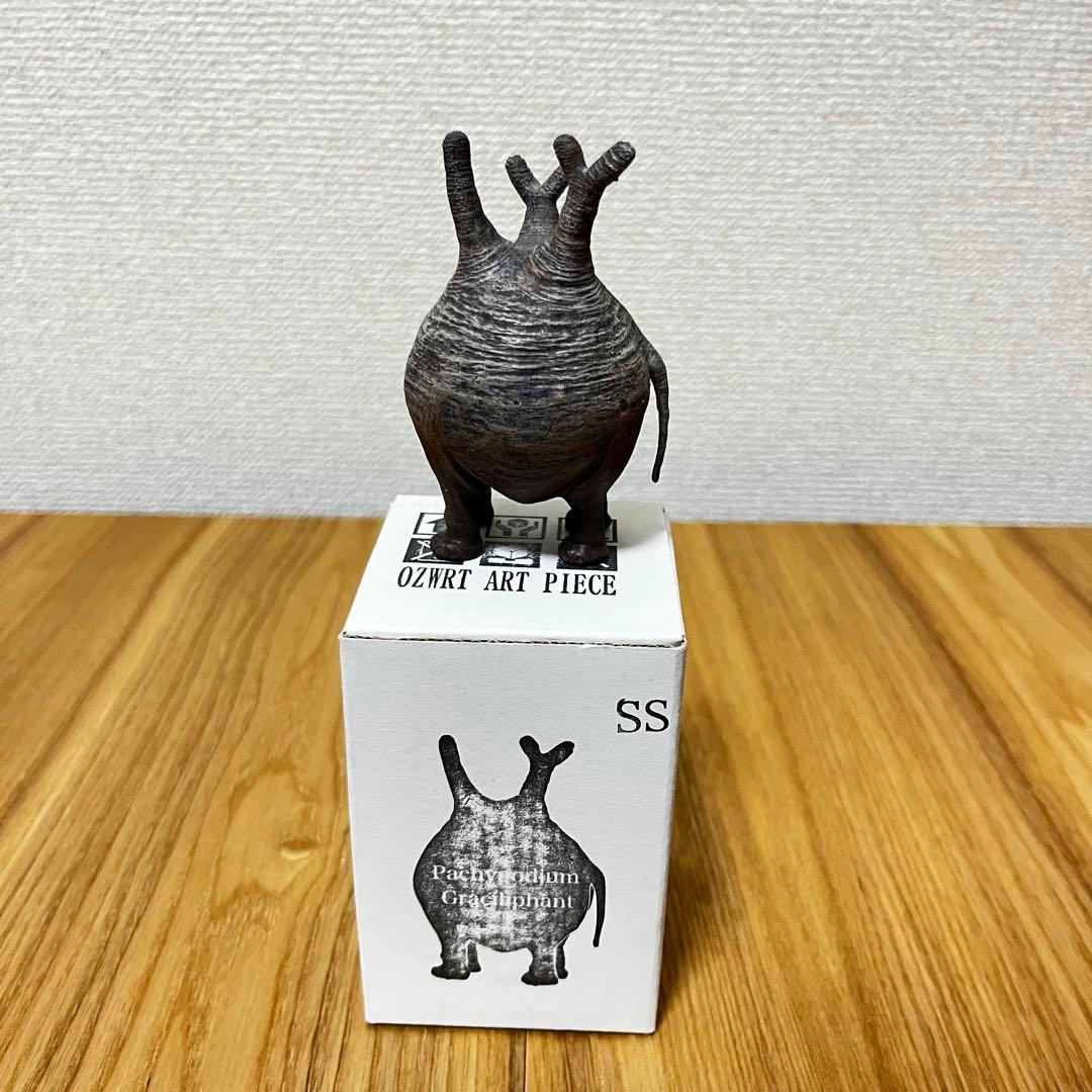 OZWRT Pachypodium Graciliphant グラキリファン TheCodexMan』シリーズにおいて1番最初に制作したのはグラキリスでした