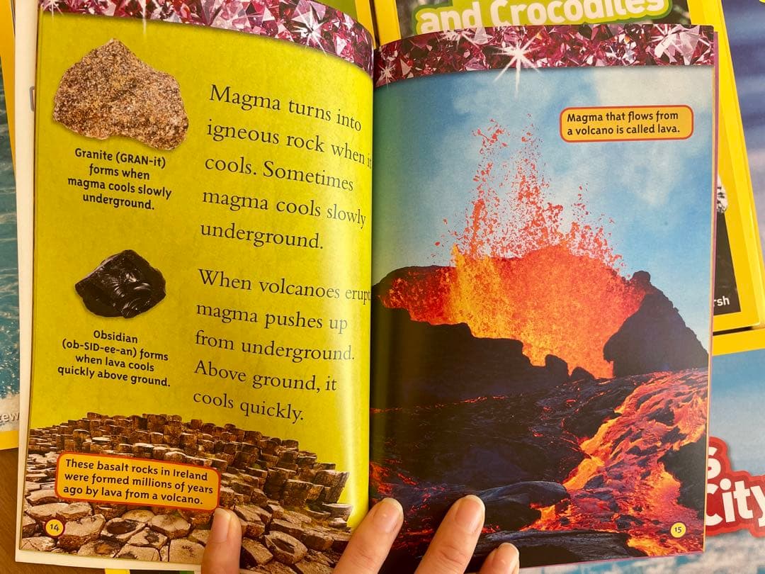 National Geographic Kids L1-3英語絵本125冊セット - メルカリ