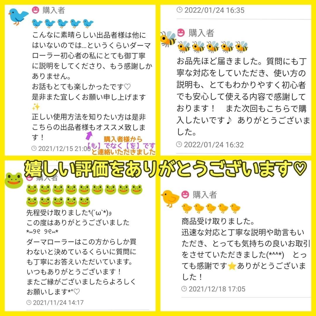 aya様 リクエスト ダーマローラー 0.3mm 5本