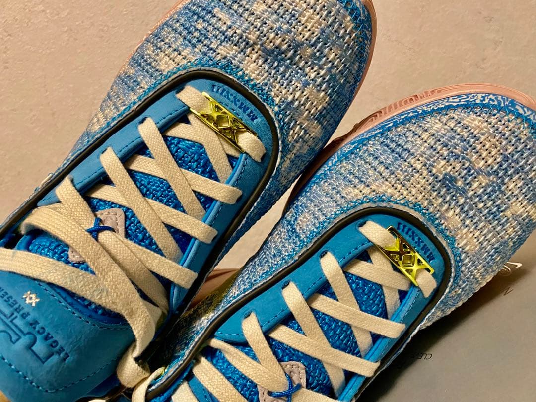 26cm グローバルラスト】Nike LeBron 20 