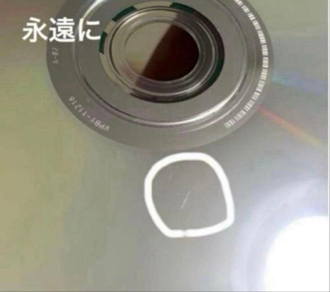 【土日限定 値段交渉受付中！！】デジタル所さんDVD全12巻 廃盤希少