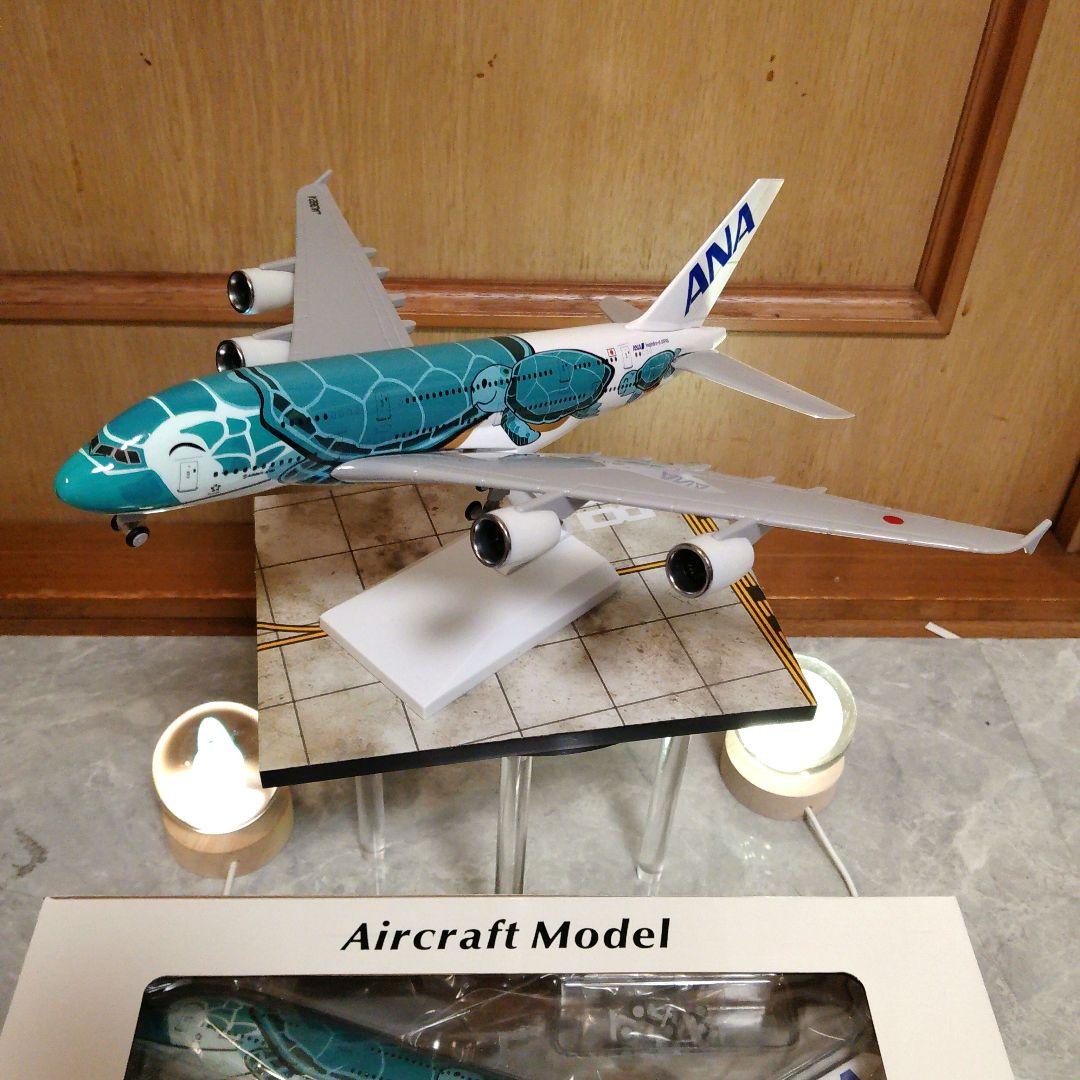 ○Air-bus A380 ／ Flying Honu ／グリーン カイ君
