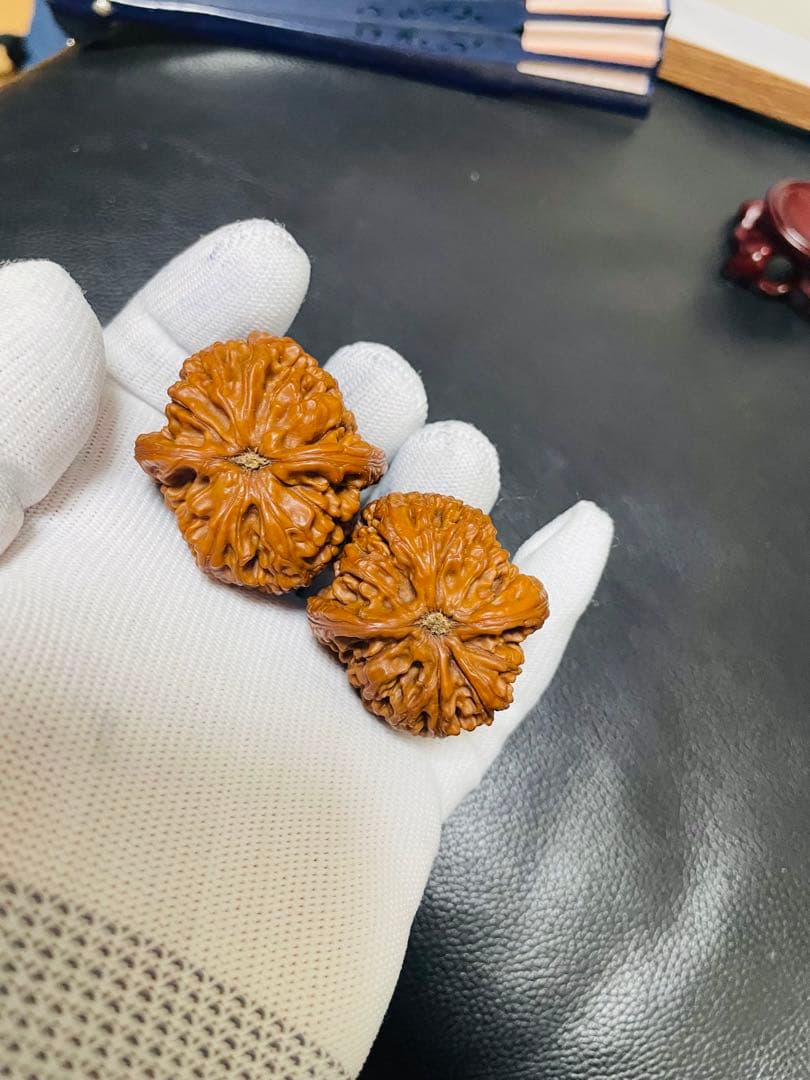 ❤️No.422遊ぶクルミ　文玩核桃 水龙纹（店主1年育てた)