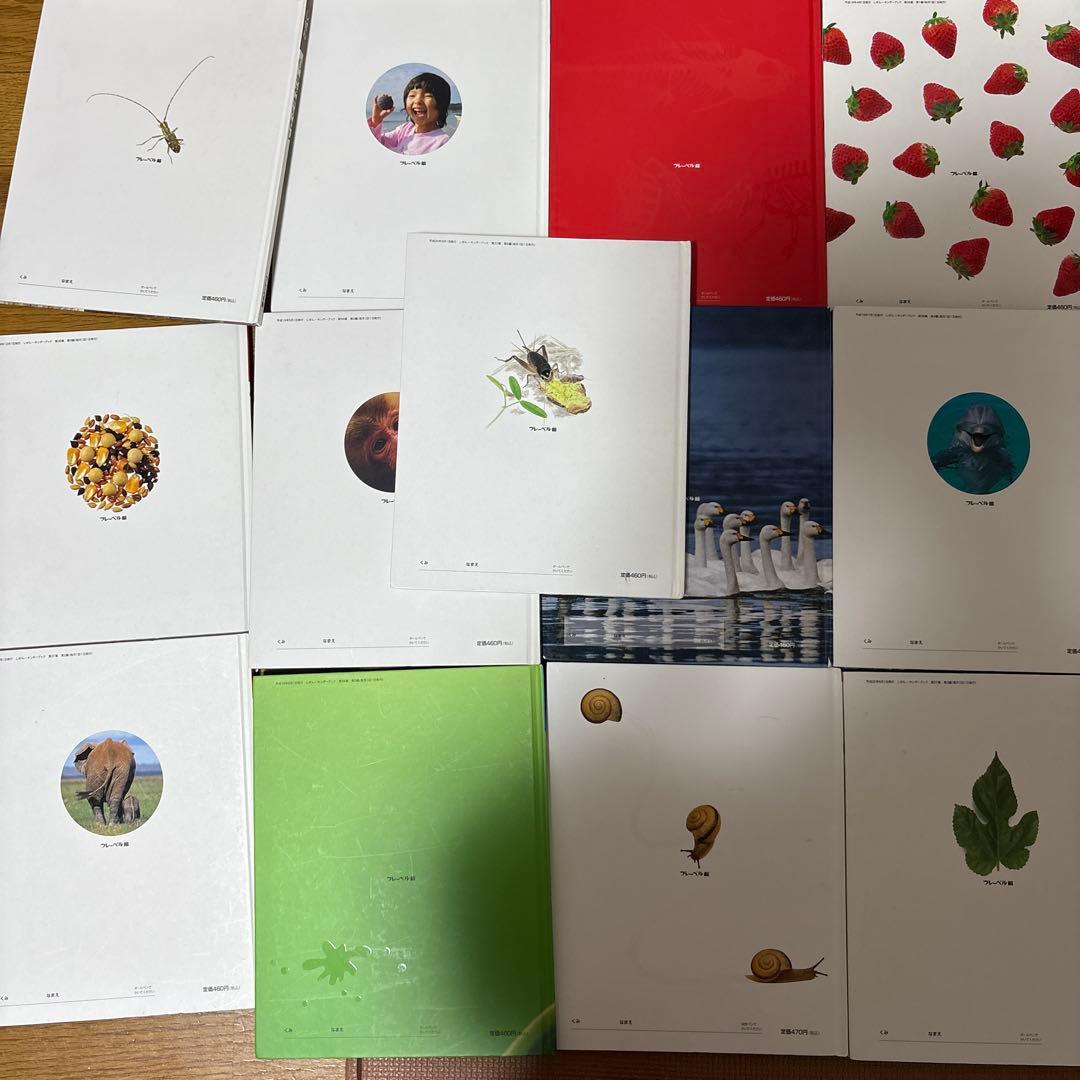 最終値下げ キンダーブックしぜん 37冊