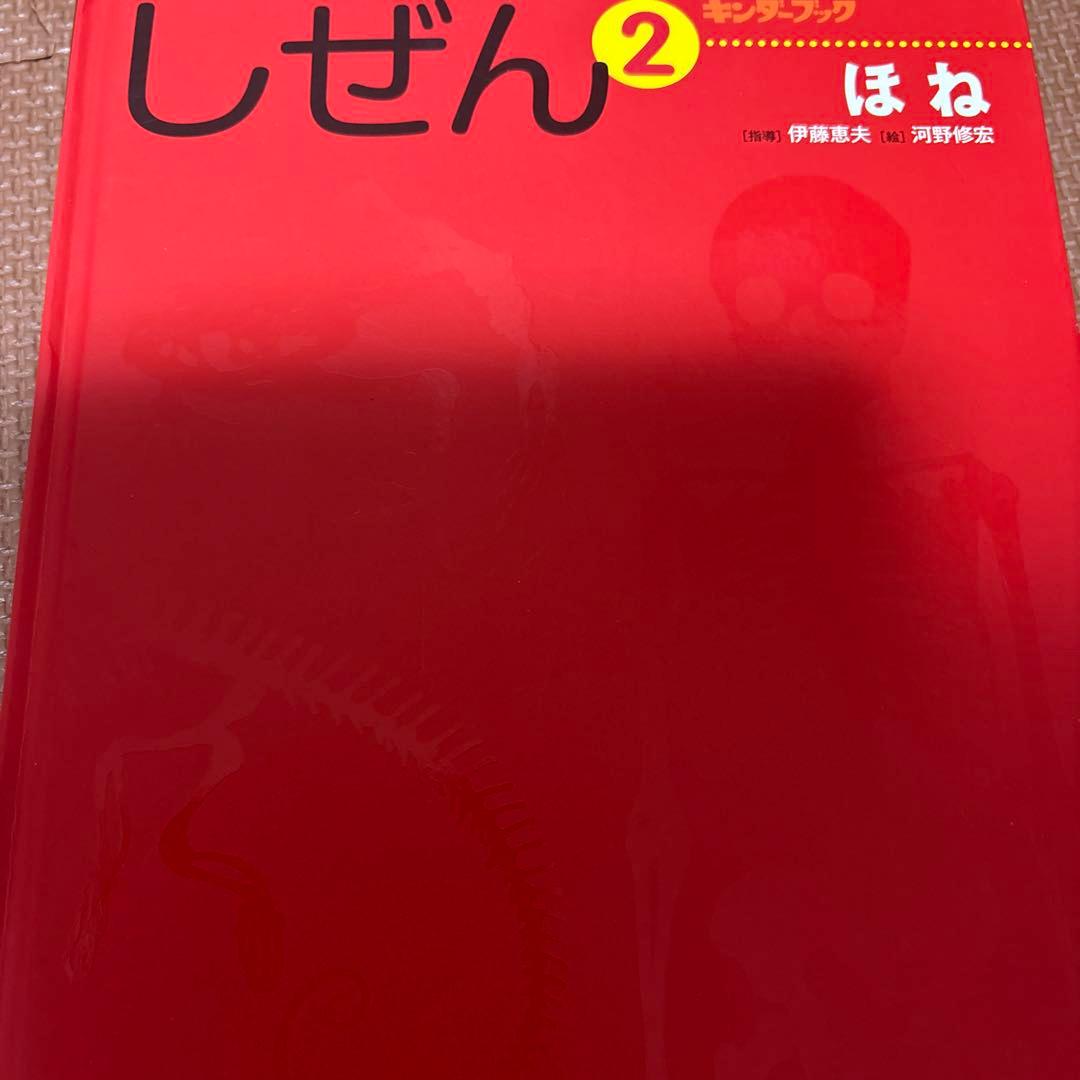 最終値下げ キンダーブックしぜん 37冊