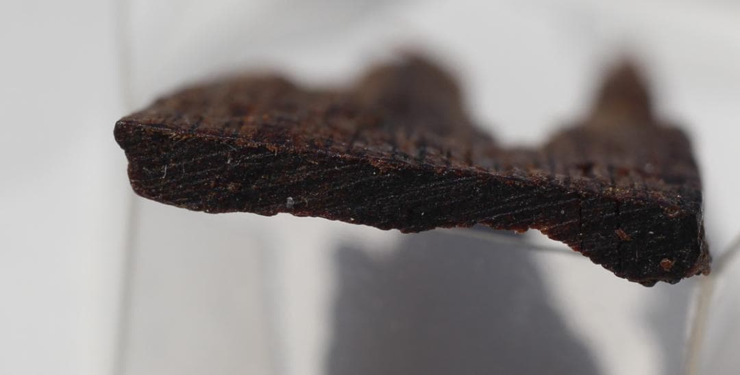 香木 古渡命銘木《初音》約0,55g 沈香 伽羅 奇南 奇楠 お香 香道