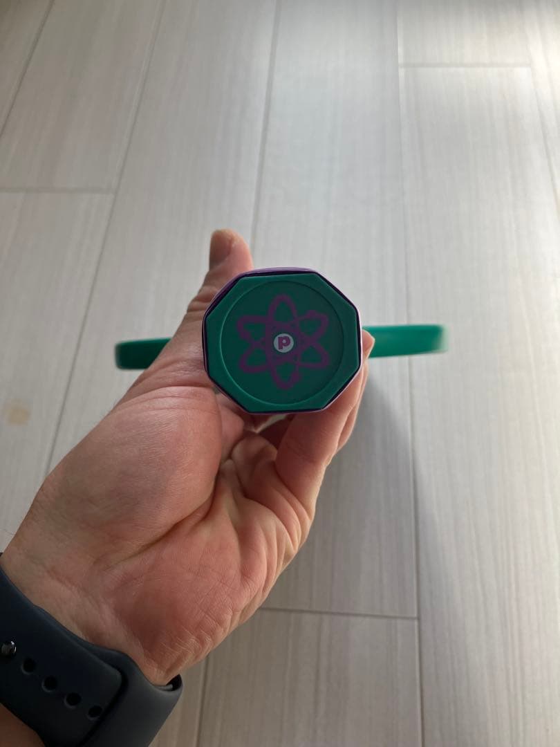 美品】proton Project Peacock ピックルボール - メルカリ